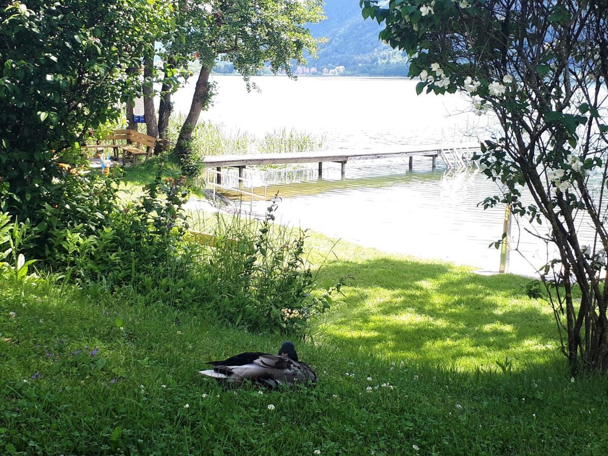 Anna Seeblick: Lakeside Retreat with Pool and Ski Access Bodensdorf Exterior photo